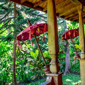Swasti Eco Parque de vacaciones Ubud